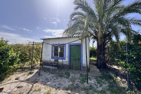 Helårsgrund i Mula, Murcia, Mula - € 300.000 | Ref: 2601 - foto 4