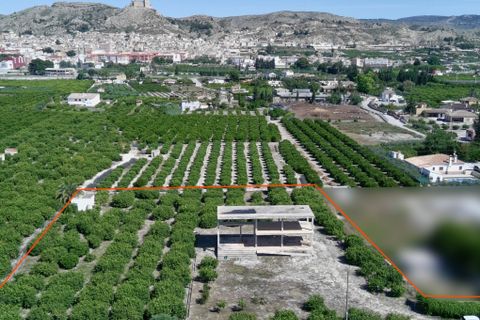 Helårsgrund i Mula, Murcia, Mula - € 300.000 | Ref: 2601 - foto 6