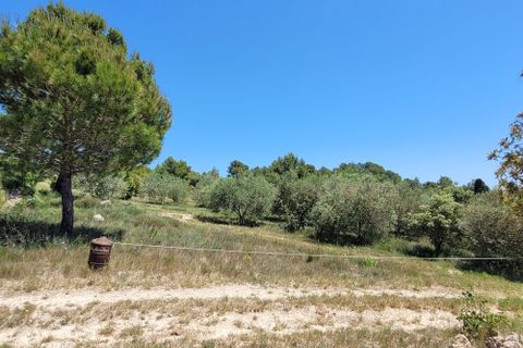 Villa a Bize-Minervois, Aude, Bize-Minervois - € 1.575.000 | Ref: ab1312500e - foto 8