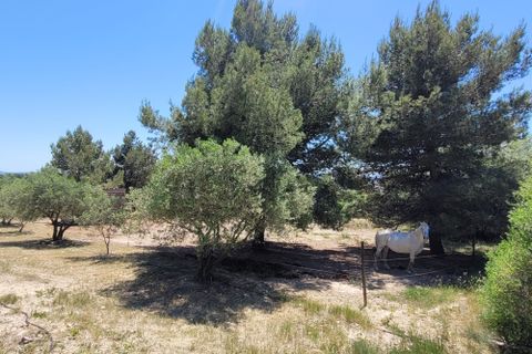 Villa a Bize-Minervois, Aude, Bize-Minervois - € 1.575.000 | Ref: ab1312500e - foto 9