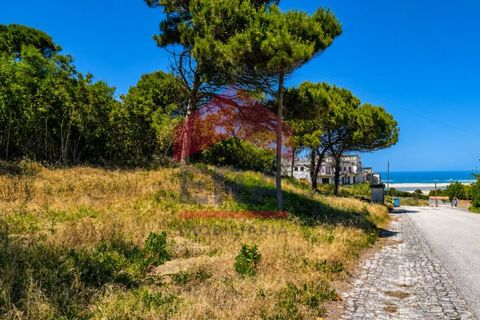 Helårsgrund i Vau, Leiria, Vau - € 340.000 | Ref: 150260103 - foto 1