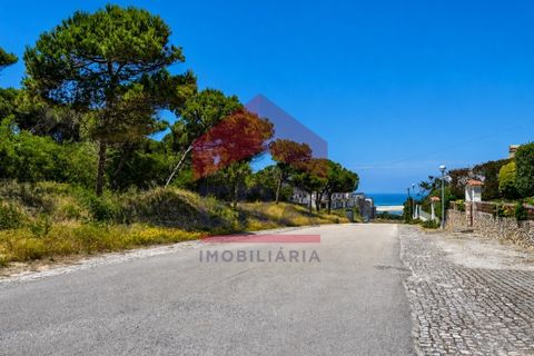 Helårsgrund i Vau, Leiria, Vau - € 340.000 | Ref: 150260103 - foto 2