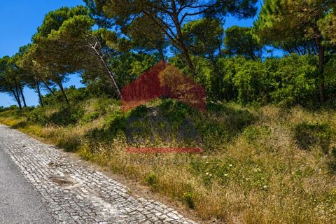 Helårsgrund i Vau, Leiria, Vau - € 340.000 | Ref: 150260103 - foto 5