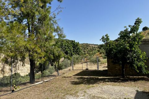 Cascina Torre Alhaquime, Cadiz - foto 4