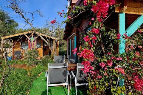 Terra a Sagres, Faro, Sagres - € 185.000 | Ref: 778435 - foto 4