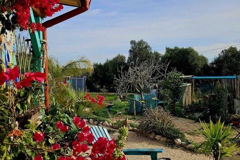 Terra a Sagres, Faro, Sagres - € 185.000 | Ref: 778435 - foto 5