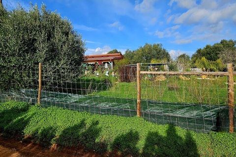 Terra a Sagres, Faro, Sagres - € 185.000 | Ref: 778435 - foto 16