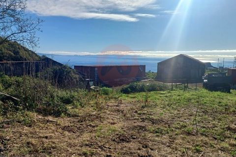 Erhvervsejendom i Velas, Sao Jorge, Velas - € 425.000 | Ref: N1066 - foto 4