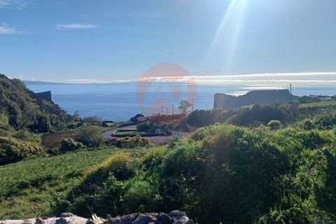 Erhvervsejendom i Velas, Sao Jorge, Velas - € 425.000 | Ref: N1066 - foto 7
