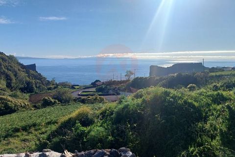 Erhvervsejendom i Velas, Sao Jorge, Velas - € 425.000 | Ref: N1066 - foto 8