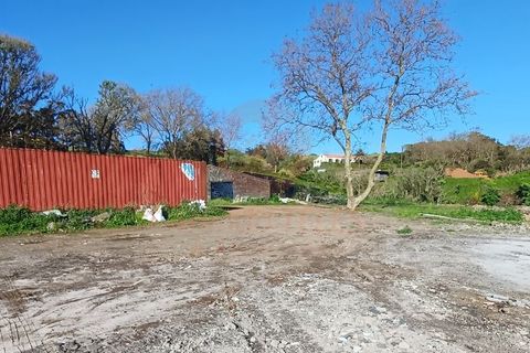Erhvervsejendom i Velas, Sao Jorge, Velas - € 425.000 | Ref: N1066 - foto 13