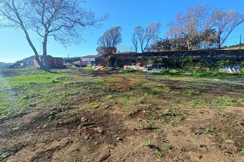 Erhvervsejendom i Velas, Sao Jorge, Velas - € 425.000 | Ref: N1066 - foto 15