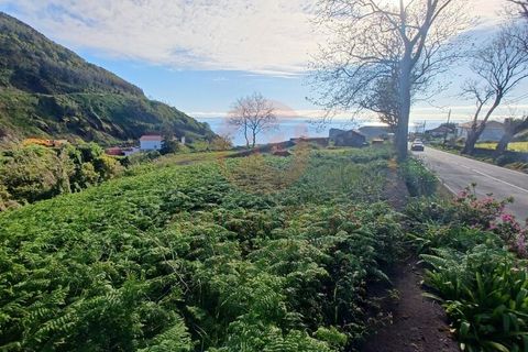 Erhvervsejendom i Velas, Sao Jorge, Velas - € 425.000 | Ref: N1066 - foto 17