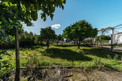 Villa a Fundao, Castelo Branco, Fundao - € 220.000 | Ref: 255220123 - foto 25