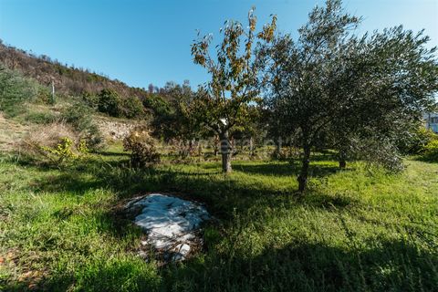 Villa a Fundao, Castelo Branco, Fundao - € 220.000 | Ref: 255220123 - foto 32