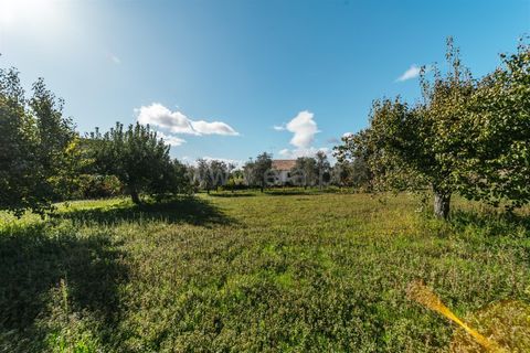 Villa a Fundao, Castelo Branco, Fundao - € 220.000 | Ref: 255220123 - foto 36