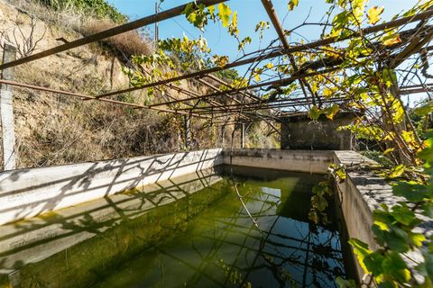 Villa a Fundao, Castelo Branco, Fundao - € 220.000 | Ref: 255220123 - foto 38