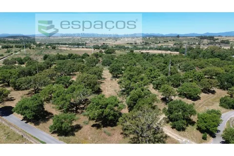 Helårsgrund i Castelo Branco, Castelo Branco, Castelo Branco - € 340.000 | Ref: 5535/AC-FA - foto 3