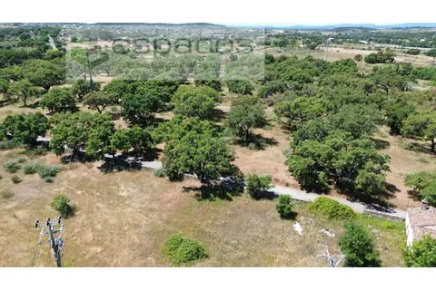 Helårsgrund i Castelo Branco, Castelo Branco, Castelo Branco - € 340.000 | Ref: 5535/AC-FA - foto 4