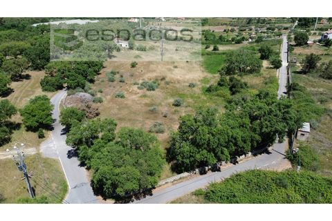 Helårsgrund i Castelo Branco, Castelo Branco, Castelo Branco - € 340.000 | Ref: 5535/AC-FA - foto 5