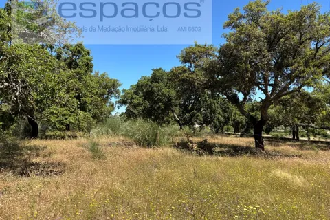 Helårsgrund i Castelo Branco, Castelo Branco, Castelo Branco - € 340.000 | Ref: 5535/AC-FA - foto 8