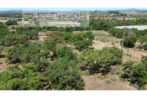 Helårsgrund i Castelo Branco, Castelo Branco, Castelo Branco - € 340.000 | Ref: 5535/AC-FA - foto 9