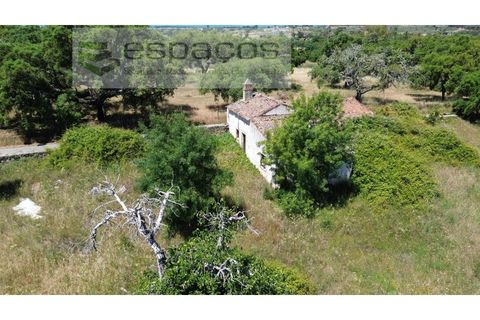 Helårsgrund i Castelo Branco, Castelo Branco, Castelo Branco - € 340.000 | Ref: 5535/AC-FA - foto 12