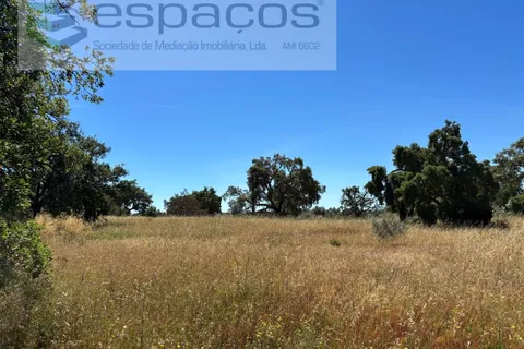 Helårsgrund i Castelo Branco, Castelo Branco, Castelo Branco - € 340.000 | Ref: 5535/AC-FA - foto 14