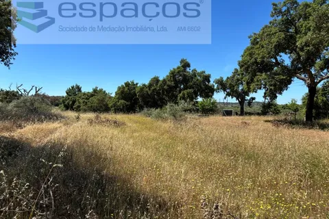 Helårsgrund i Castelo Branco, Castelo Branco, Castelo Branco - € 340.000 | Ref: 5535/AC-FA - foto 15