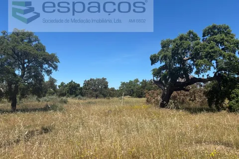 Helårsgrund i Castelo Branco, Castelo Branco, Castelo Branco - € 340.000 | Ref: 5535/AC-FA - foto 21