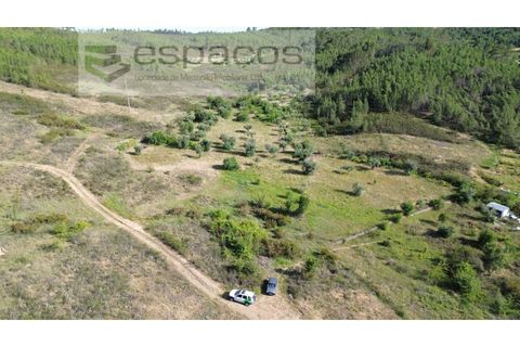 Helårsgrund i Castelo Branco, Castelo Branco, Castelo Branco - € 35.000 | Ref: 5714/FA - foto 2