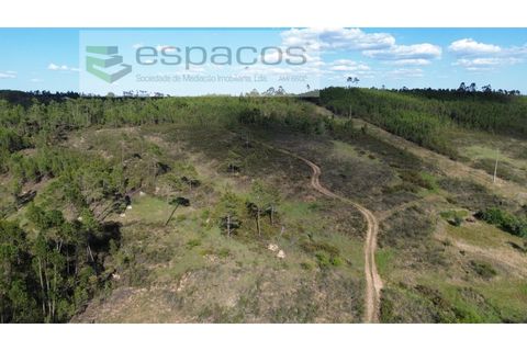 Helårsgrund i Castelo Branco, Castelo Branco, Castelo Branco - € 35.000 | Ref: 5714/FA - foto 3