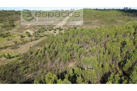 Helårsgrund i Castelo Branco, Castelo Branco, Castelo Branco - € 35.000 | Ref: 5714/FA - foto 5