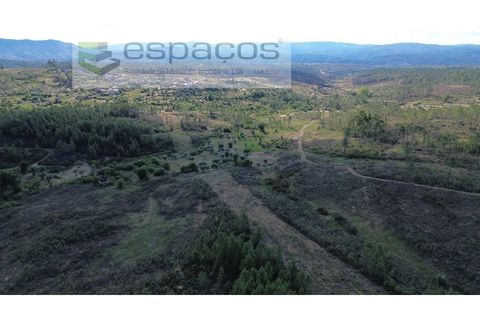 Helårsgrund i Castelo Branco, Castelo Branco, Castelo Branco - € 35.000 | Ref: 5714/FA - foto 6