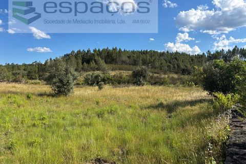 Helårsgrund i Castelo Branco, Castelo Branco, Castelo Branco - € 35.000 | Ref: 5714/FA - foto 7