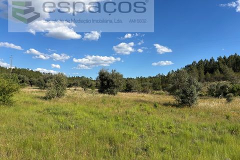 Helårsgrund i Castelo Branco, Castelo Branco, Castelo Branco - € 35.000 | Ref: 5714/FA - foto 8