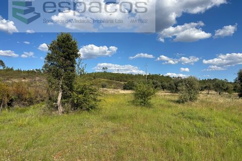 Helårsgrund i Castelo Branco, Castelo Branco, Castelo Branco - € 35.000 | Ref: 5714/FA - foto 9