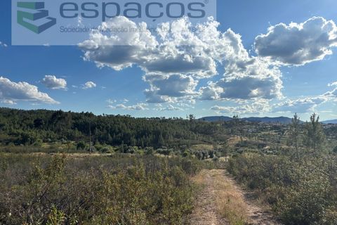 Helårsgrund i Castelo Branco, Castelo Branco, Castelo Branco - € 35.000 | Ref: 5714/FA - foto 10