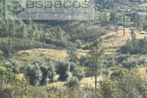 Helårsgrund i Castelo Branco, Castelo Branco, Castelo Branco - € 35.000 | Ref: 5714/FA - foto 11