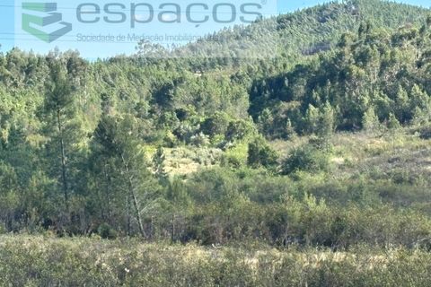 Helårsgrund i Castelo Branco, Castelo Branco, Castelo Branco - € 35.000 | Ref: 5714/FA - foto 12