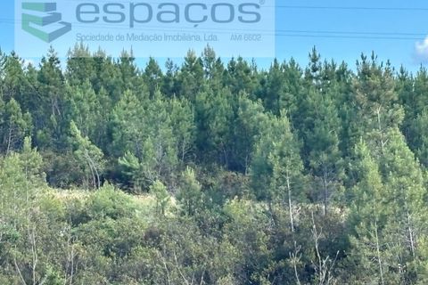 Helårsgrund i Castelo Branco, Castelo Branco, Castelo Branco - € 35.000 | Ref: 5714/FA - foto 13