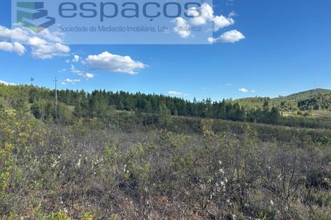 Helårsgrund i Castelo Branco, Castelo Branco, Castelo Branco - € 35.000 | Ref: 5714/FA - foto 14