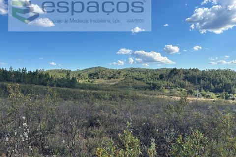 Helårsgrund i Castelo Branco, Castelo Branco, Castelo Branco - € 35.000 | Ref: 5714/FA - foto 15