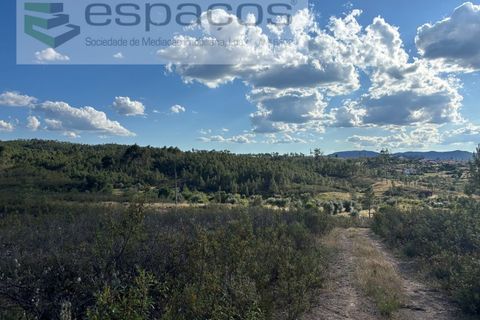 Helårsgrund i Castelo Branco, Castelo Branco, Castelo Branco - € 35.000 | Ref: 5714/FA - foto 16