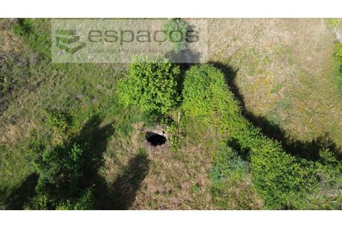 Terra a Castelo Branco, Castelo Branco, Castelo Branco - € 16.500 | Ref: 5711/FA - foto 3