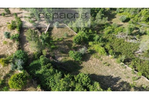 Terra a Castelo Branco, Castelo Branco, Castelo Branco - € 16.500 | Ref: 5711/FA - foto 5
