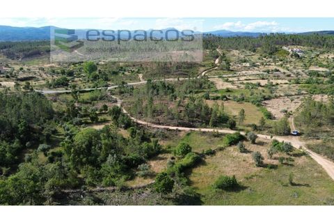 Terra a Castelo Branco, Castelo Branco, Castelo Branco - € 16.500 | Ref: 5711/FA - foto 6