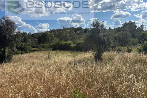 Terra a Castelo Branco, Castelo Branco, Castelo Branco - € 16.500 | Ref: 5711/FA - foto 11