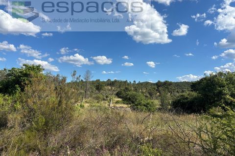 Terra a Castelo Branco, Castelo Branco, Castelo Branco - € 16.500 | Ref: 5711/FA - foto 12