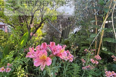 Villa i Rosmaninhal, Castelo Branco, Rosmaninhal - € 65.000 | Ref: 5524/FA_AC - foto 26